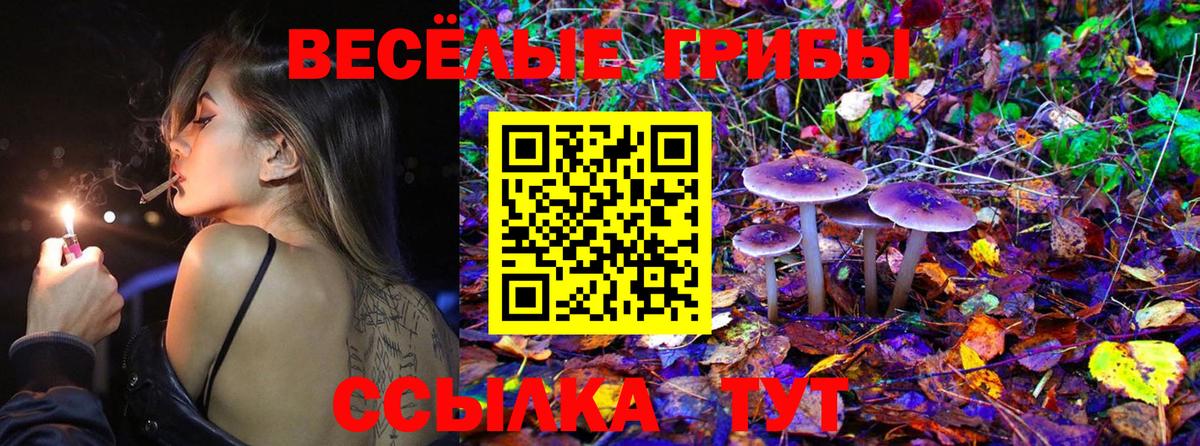 Псилоцибиновые грибы Psilocybine cubensis  Галлюциногенные грибы MAGIC MUSHROOMS  Тимашёвск  даркнет сайт  Вход с VPN 